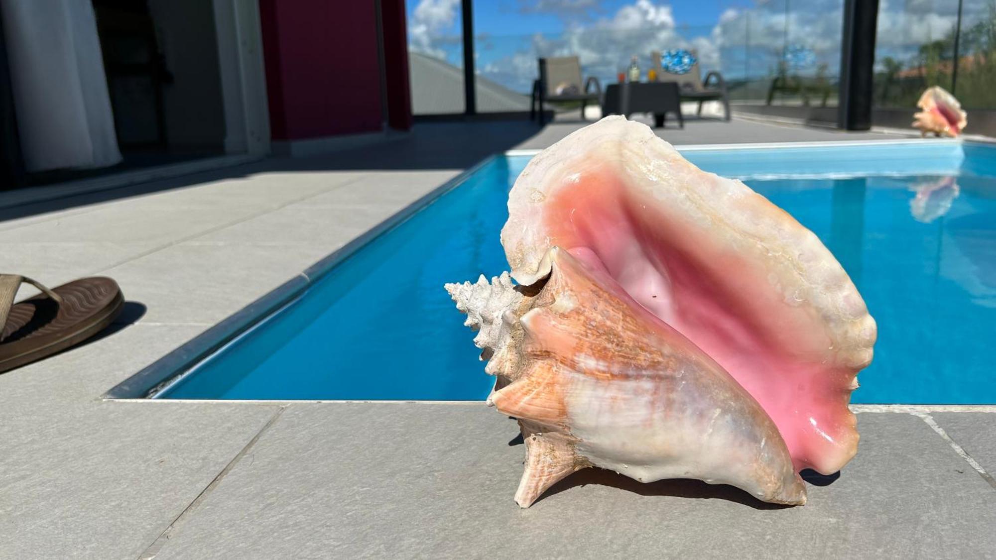 La Villa Jalna Grenadine Deux Chambres Et Piscine Privee Les Trois-Ilets Buitenkant foto