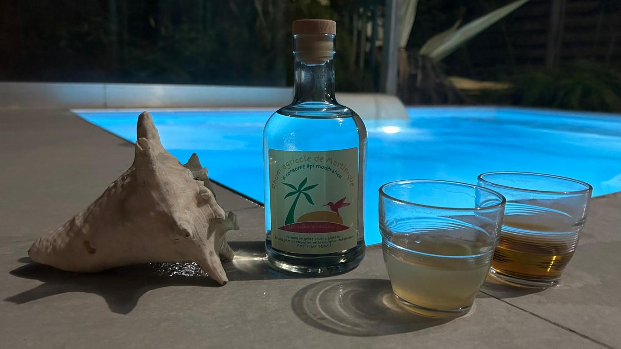 La Villa Jalna Grenadine Deux Chambres Et Piscine Privee Les Trois-Ilets Buitenkant foto